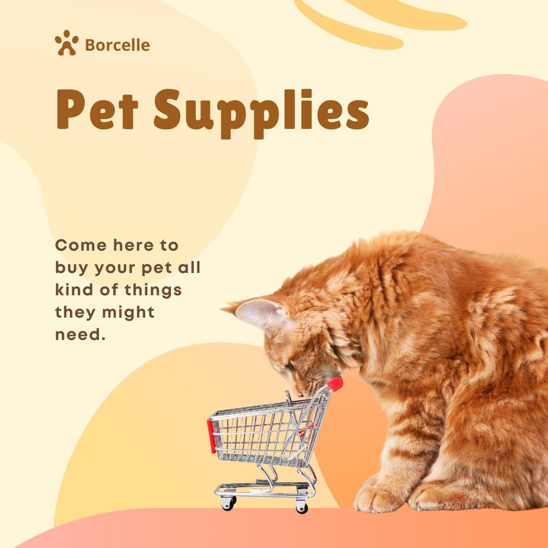 Pet Supplies